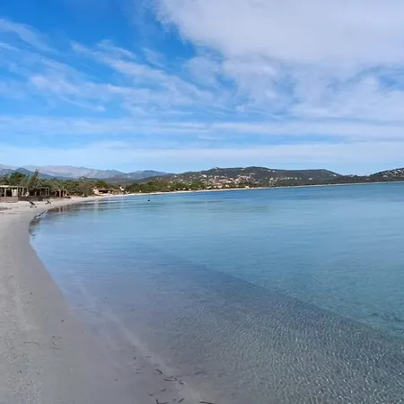 T3 Picchiarini, Clim, Piscines, Resto, 5' Plages アパート *