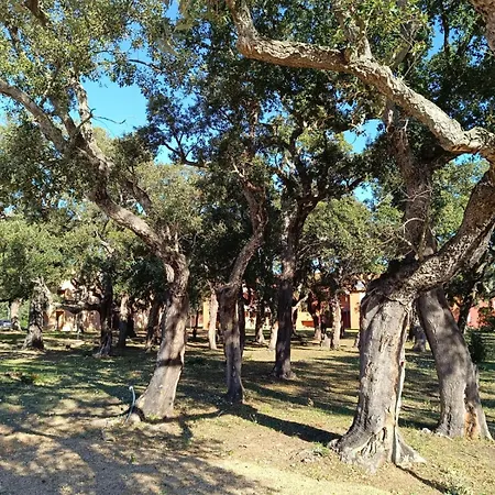 T3 Picchiarini, Clim, Piscines, Resto, 5' Plages * レクシ