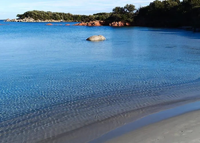 아파트 T3 Picchiarini, Clim, Piscines, Resto, 5' Plages 르씨