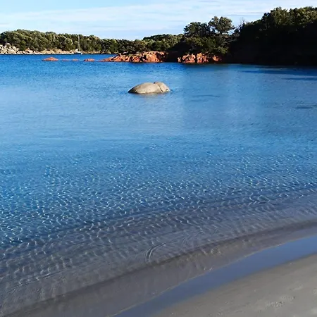 Apartment T3 Picchiarini, Clim, Piscines, Resto, 5' Plages Lecci