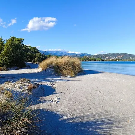 T3, 48m2, Climatise, Piscines, Resto, 5mn Plages Apartment Lecci