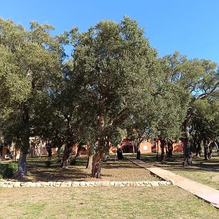 T3 Picchiarini, Clim, Piscines, Resto, 5' Plages